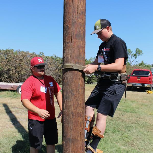 Pole climbing