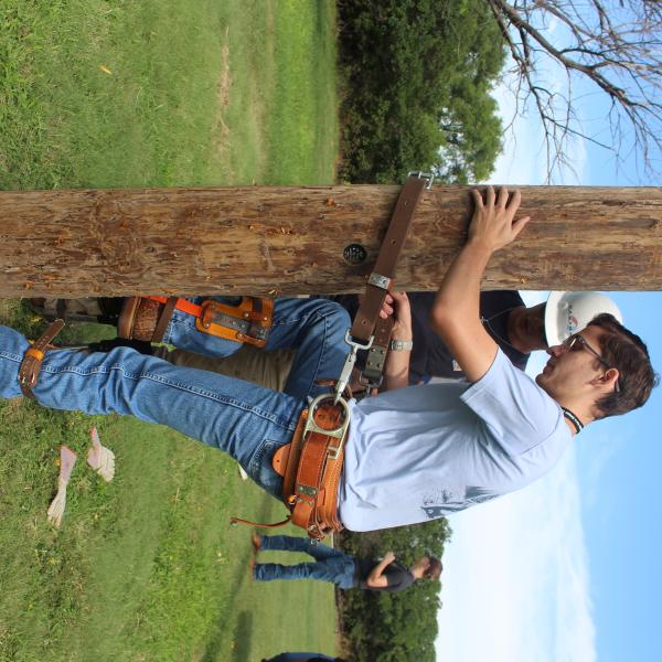 Pole Climbing
