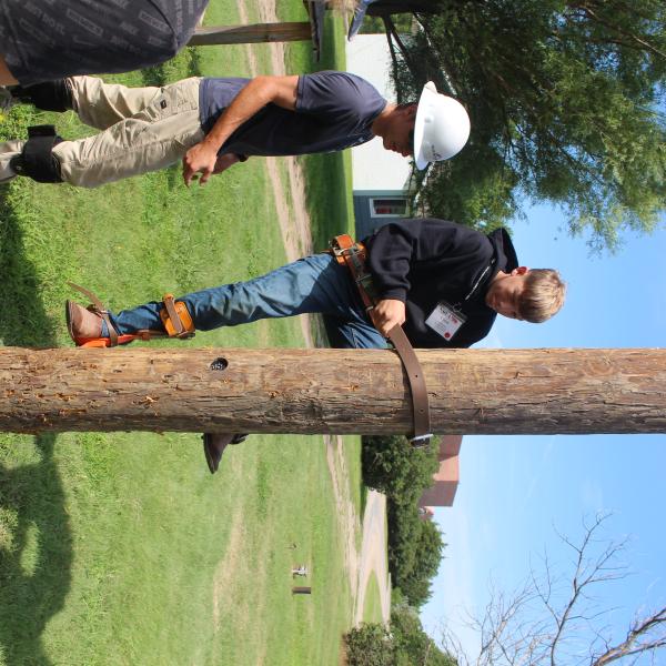 Pole Climbing